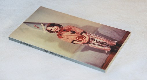 songanddancegirl-book